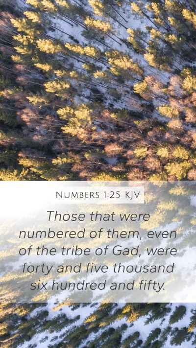 Numbers 1:25 Explained