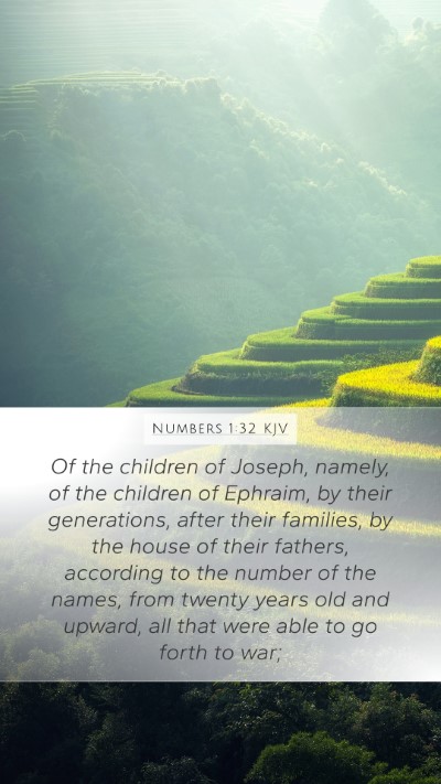 Numbers 1:32 Explained