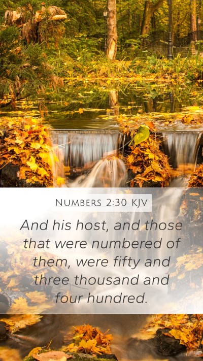 Numbers 2:30 Explained