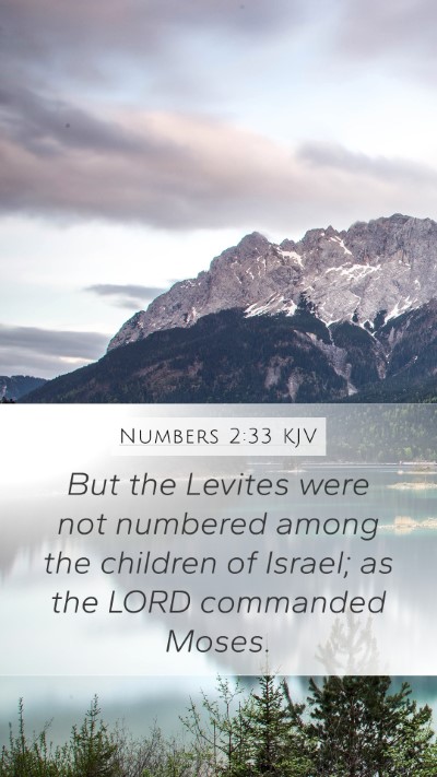 Numbers 2:33 Explained