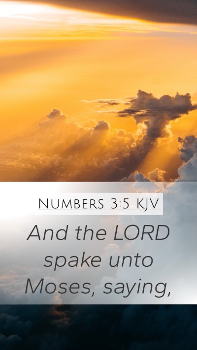 Numbers 3:5 Explained