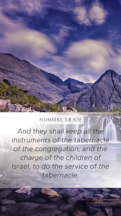 Numbers 3:8 Explained