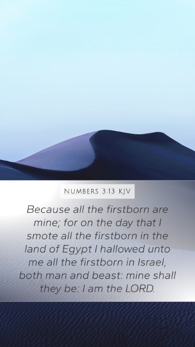 Numbers 3:13 Explained