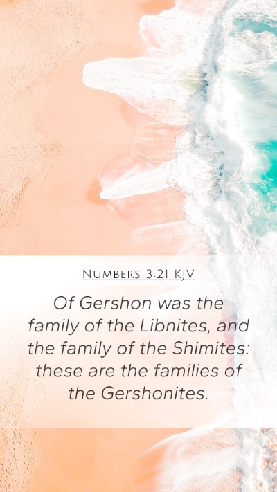 Numbers 3:21 Explained