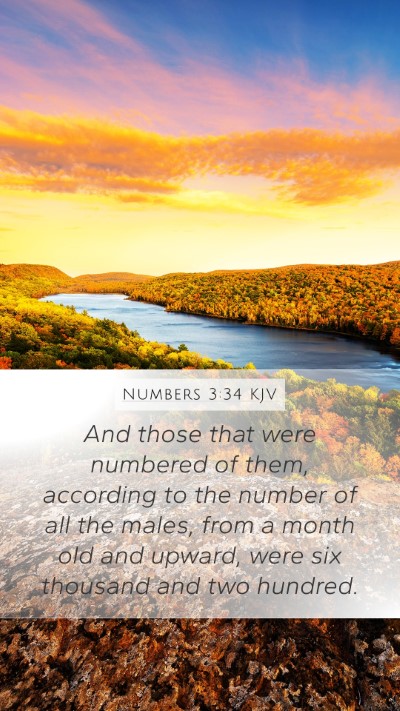 Numbers 3:34 Explained