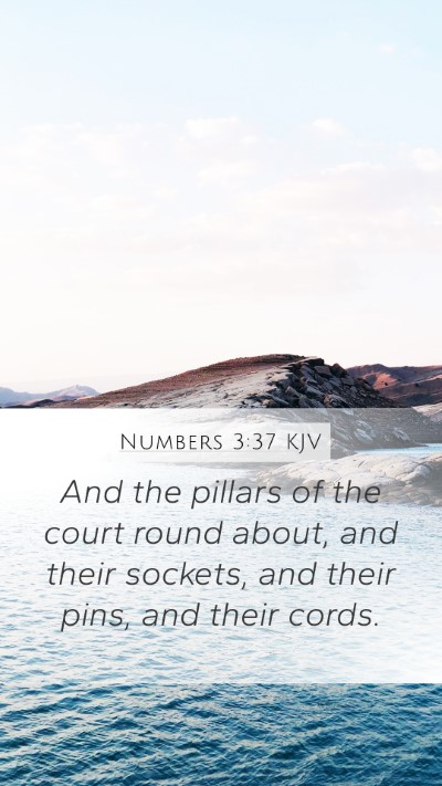 Numbers 3:37 Explained