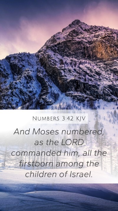 Numbers 3:42 Explained