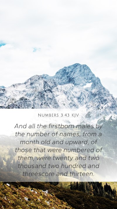 Numbers 3:43 Explained