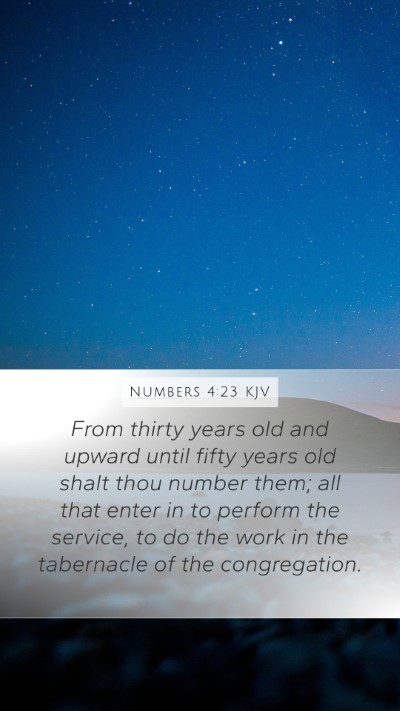 Numbers 4:23 Explained