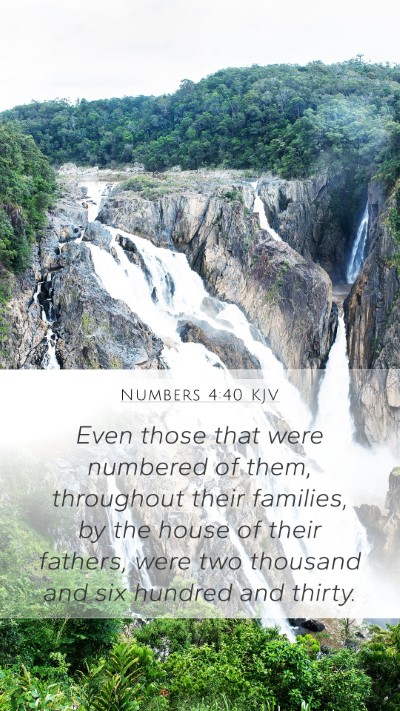 Numbers 4:40 Explained