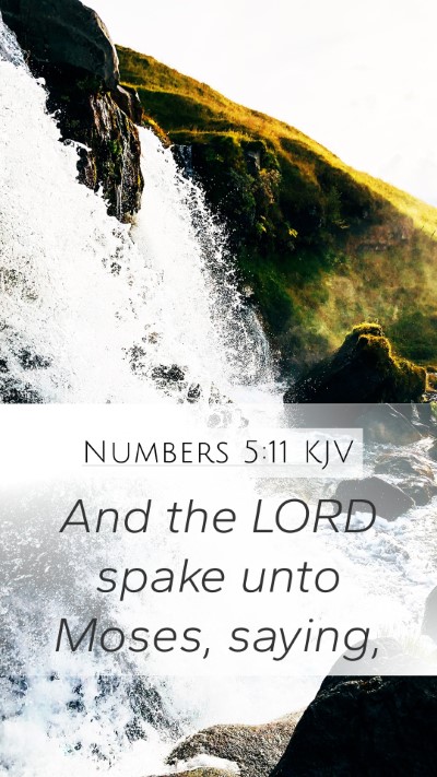 Numbers 5:11 Explained