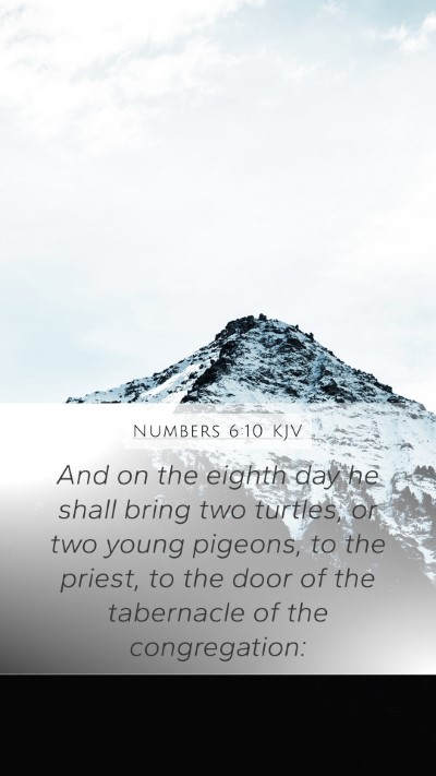 Numbers 6:10 Explained