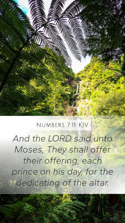 Numbers 7:11 Explained