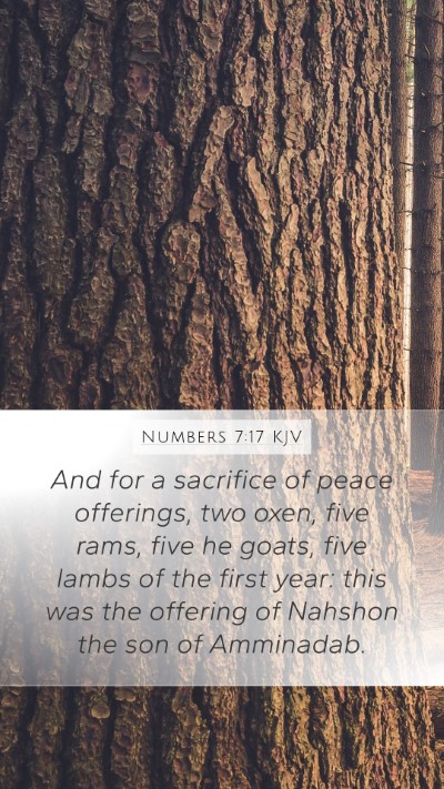 Numbers 7:17 Explained