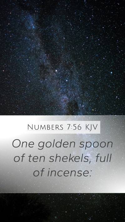 Numbers 7:56 Explained