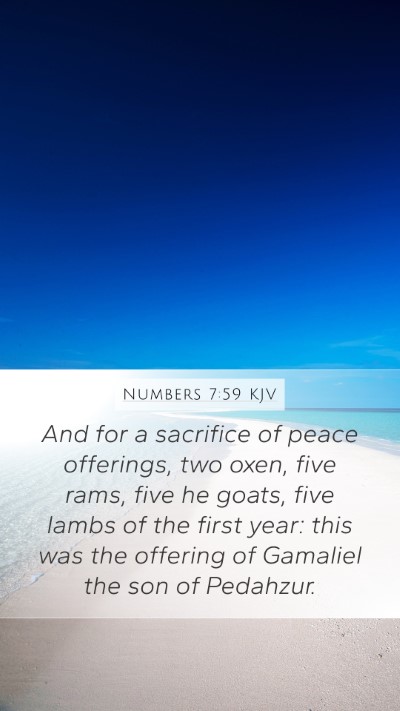 Numbers 7:59 Explained