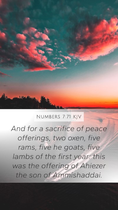 Numbers 7:71 Explained