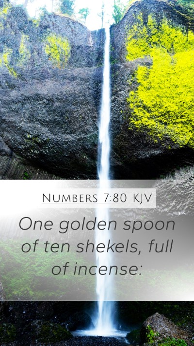 Numbers 7:80 Explained