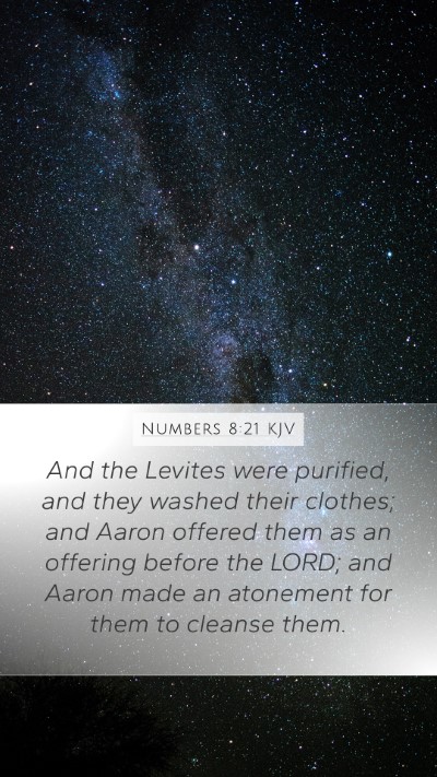 Numbers 8:21 Explained