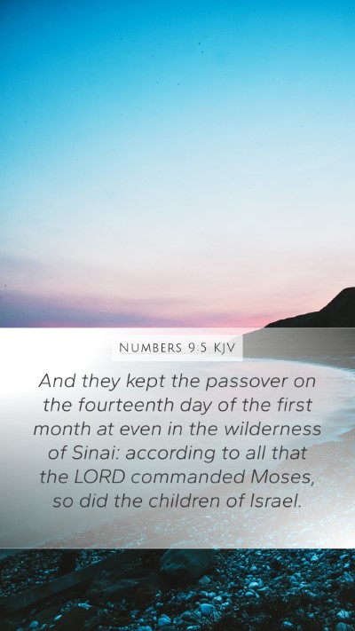 Numbers 9:5 Explained