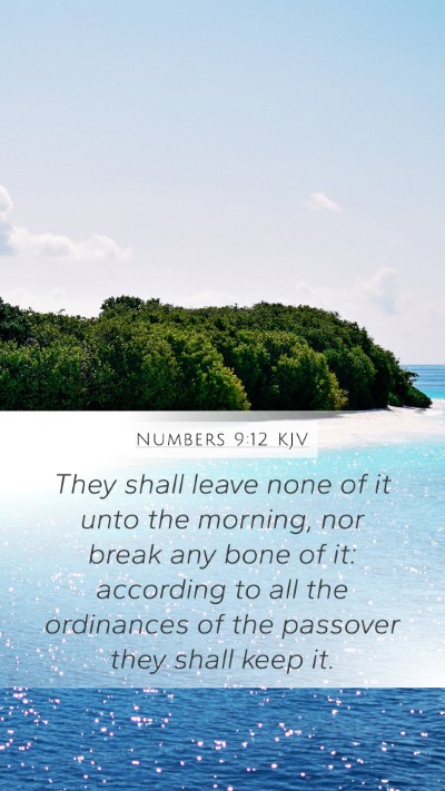 Numbers 9:12 Explained