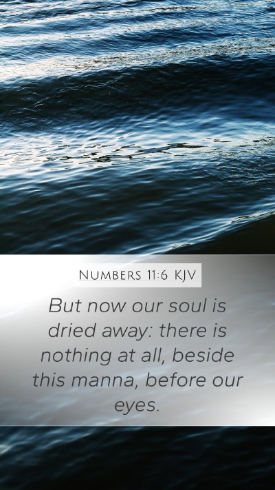 Numbers 11:6 Explained