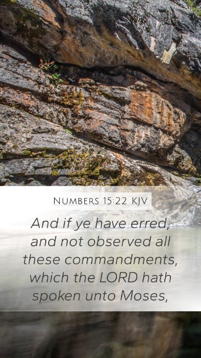 Numbers 15:22 Explained