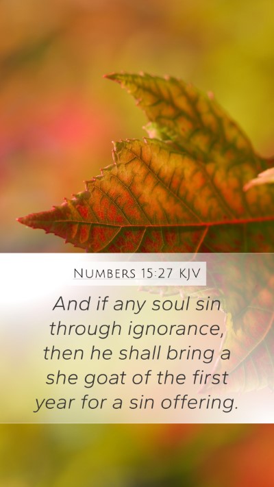 Numbers 15:27 Explained