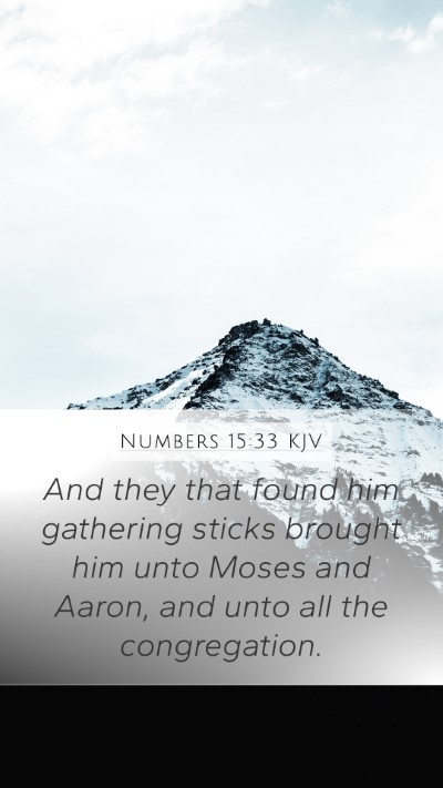 Numbers 15:33 Explained