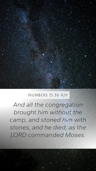 Numbers 15:36 Explained