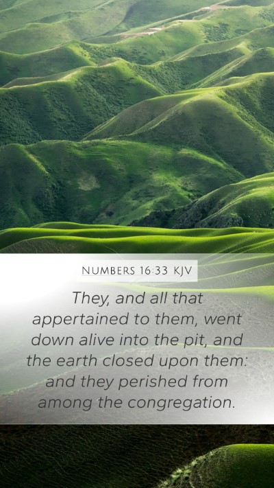 Numbers 16:33 Explained