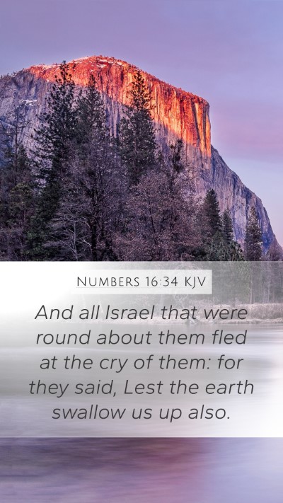 Numbers 16:34 Explained