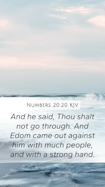 Numbers 20:20 Explained