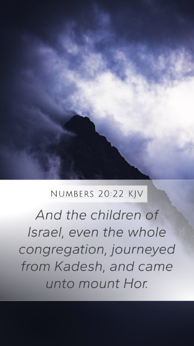 Numbers 20:22 Explained