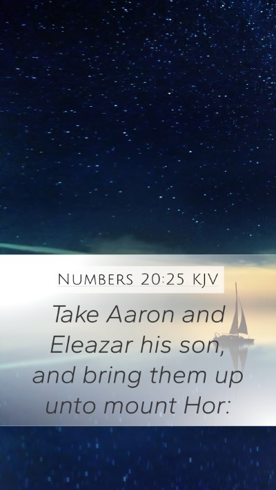 Numbers 20:25 Explained