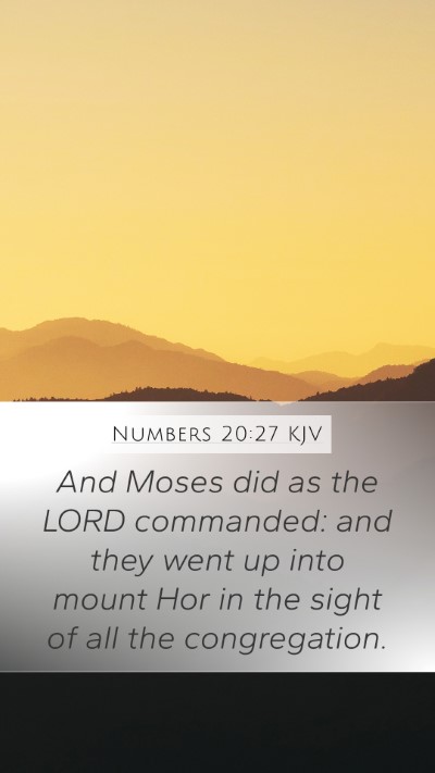 Numbers 20:27 Explained