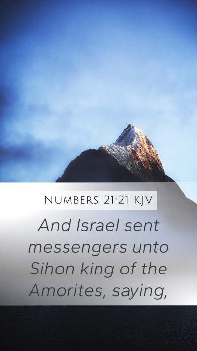 Numbers 21:21 Explained