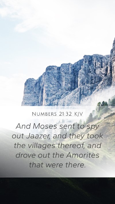 Numbers 21:32 Explained