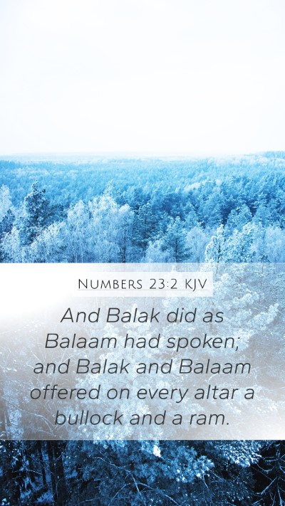 Numbers 23:2 Explained