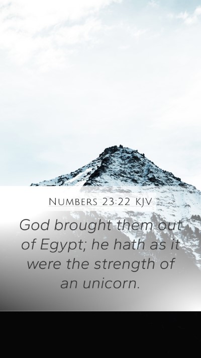 Numbers 23:22 Explained