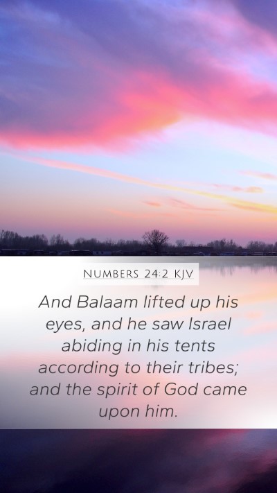 Numbers 24:2 Explained