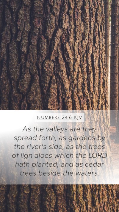 Numbers 24:6 Explained