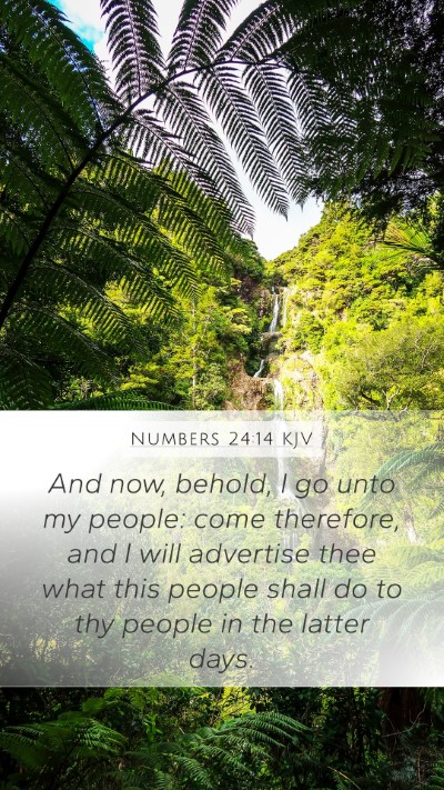 Numbers 24:14 Explained