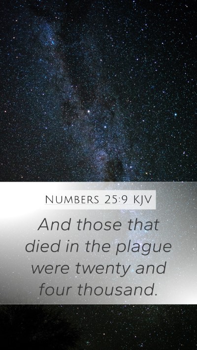 Numbers 25:9 Explained