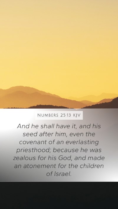 Numbers 25:13 Explained