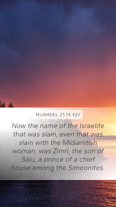 Numbers 25:14 Explained