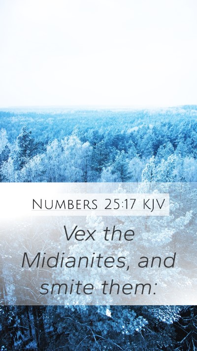 Numbers 25:17 Explained