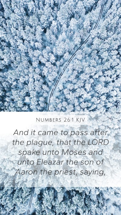 Numbers 26:1 Explained