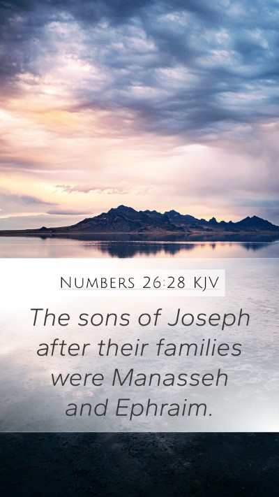 Numbers 26:28 Explained