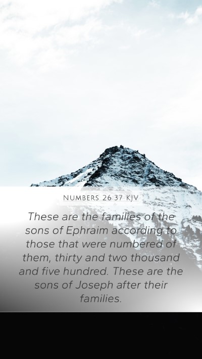 Numbers 26:37 Explained